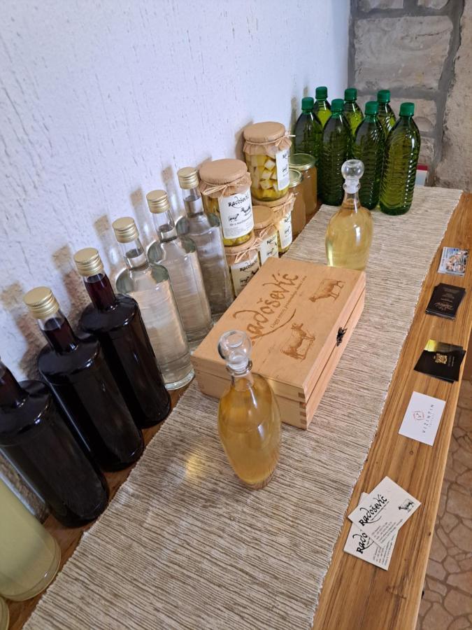 Penzion Sobe Anja Brtonigla Exteriér fotografie